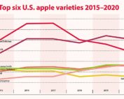 Top six U.S. apple varieties 2015–2020. (Source: U.S. Apple Association, Graph: Jared Johnson/Good Fruit Grower)