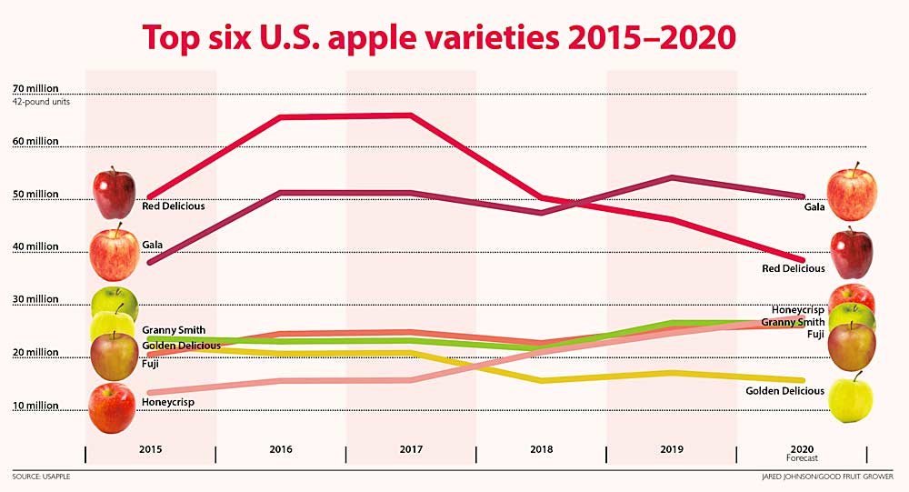 Top six U.S. apple varieties 2015–2020. (Source: U.S. Apple Association, Graph: Jared Johnson/Good Fruit Grower)