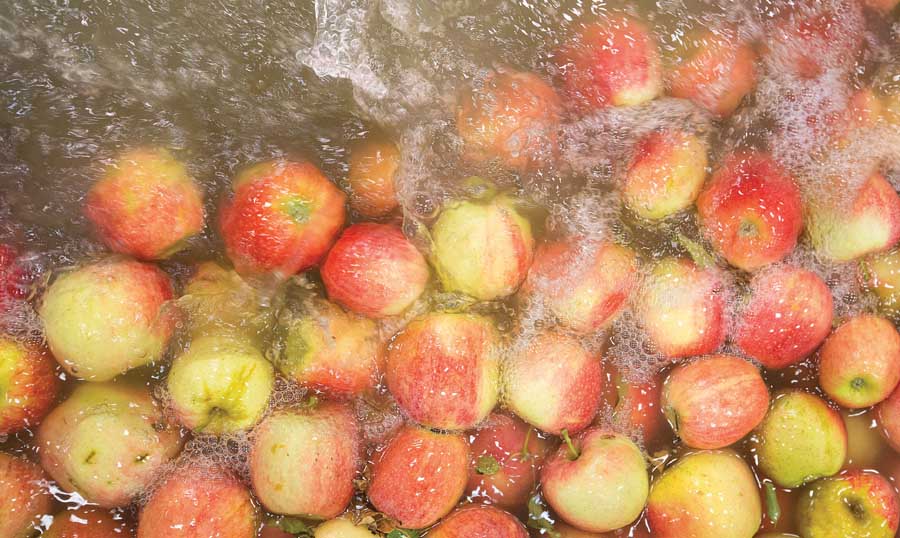 Apples from the 2015 harvest are washed and sanitized at Washington Fruit and Produce company in Yakima, Washington on September 9, 2015. (TJ Mullinax/Good Fruit Grower)