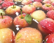 Apples from the 2015 harvest are washed and sanitized at a packing facility in Washington State. (TJ Mullinax/Good Fruit Grower