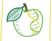 (TJ Mullinax/Good Fruit Grower illustration)