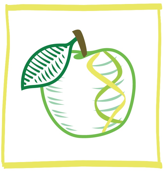 (TJ Mullinax/Good Fruit Grower illustration)