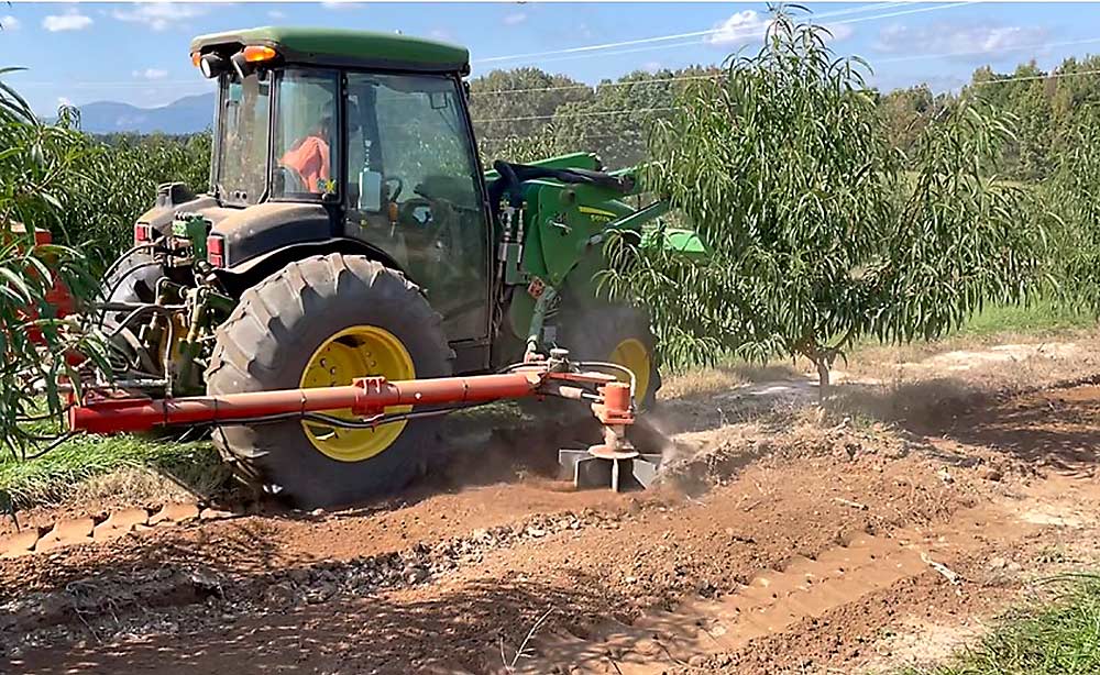 Bulent Koc, in Clemson University’s agricultural mechanization and business program, and one of his graduate students developed a paddle wheel tool to help automate the process of removing soil from the trees planted on berms. So far, they have used the tool to sweep away berms between trees (shown here), which gives workers easier access to the trees and also prevents erosion issues caused by continuous berms. They are now working to modify the tool to gently remove the soil covering the root collar. (Courtesy Bulent Koc/Clemson University)