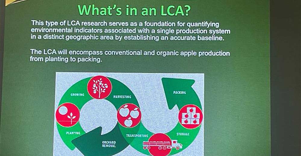 A slide from a session at the Washington State Tree Fruit Association Annual Meeting Dec. 5 introducing a life cycle assessment soon to be released to the state’s apple growers to help measure the sustainability of the state’s apple orchards. (Kate Prengaman/Good Fruit Grower)