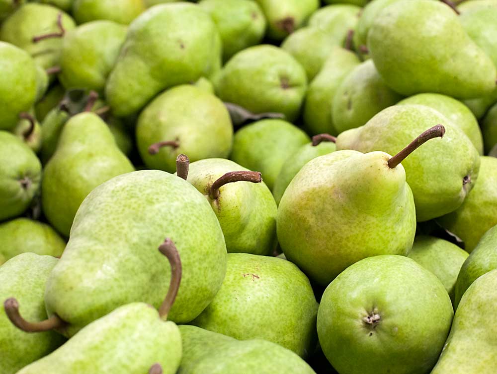 Bartlett pears at a Cashmere, Washington, fruit stand in August 2014. (TJ Mullinax/Good Fruit Grower)