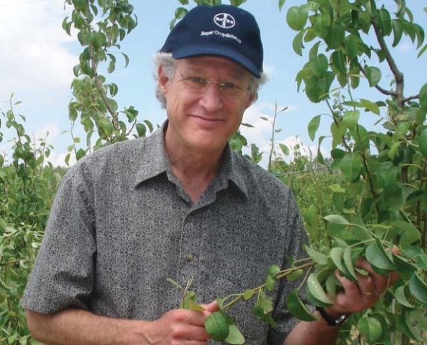 Dr. David Sugar, plant pathologist at Oregon State University, says the nitrogen and calcium levels in the orchard can affect the potential for decay in pears after harvest.