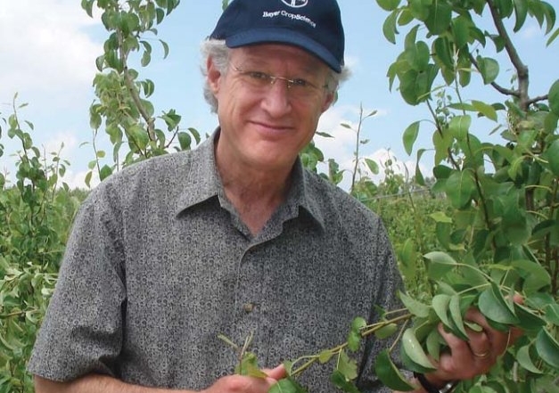 Dr. David Sugar, plant pathologist at Oregon State University, says the nitrogen and calcium levels in the orchard can affect the potential for decay in pears after harvest.