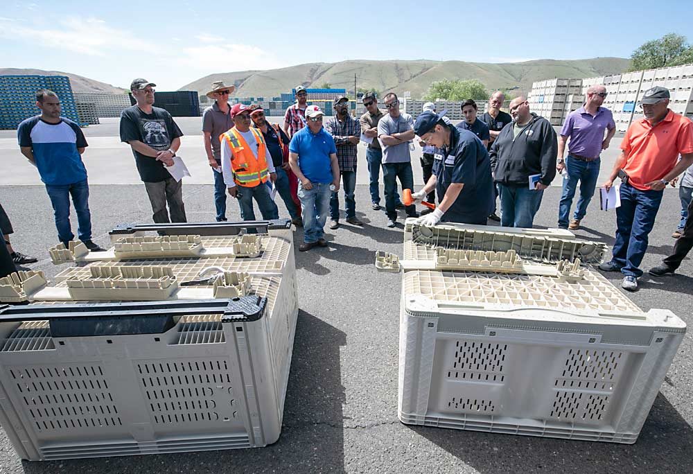 Storm Lopez of Macro Plastics hammers in a new bin foot while showing several options and techniques to repair the bottom of common plastic bins. (TJ Mullinax/Good Fruit Grower)