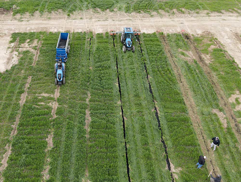 By applying biochar before planting a new Yakima Valley cherry orchard, grower Keith Veselka of NWFM expects to boost young tree growth. He’s one of the first customers and research collaborators with biochar company Qualterra. (Courtesy Eduardo Garcia/NWFM)