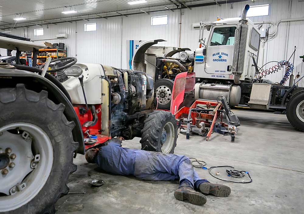 Mechanic Bob Golden repairs brake lines and the clutch on a Massey Ferguson tractor from Randy Arnold’s pear farm at the Blue Star shop. The shop maintains the cooperative’s vehicles and the equipment growers need to produce their crops, said manager Ron Sears. (TJ Mullinax/Good Fruit Grower)