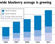 Source: U.S. Highbush Blueberry Council ( Jared Johnson/Good Fruit Grower illustration)
