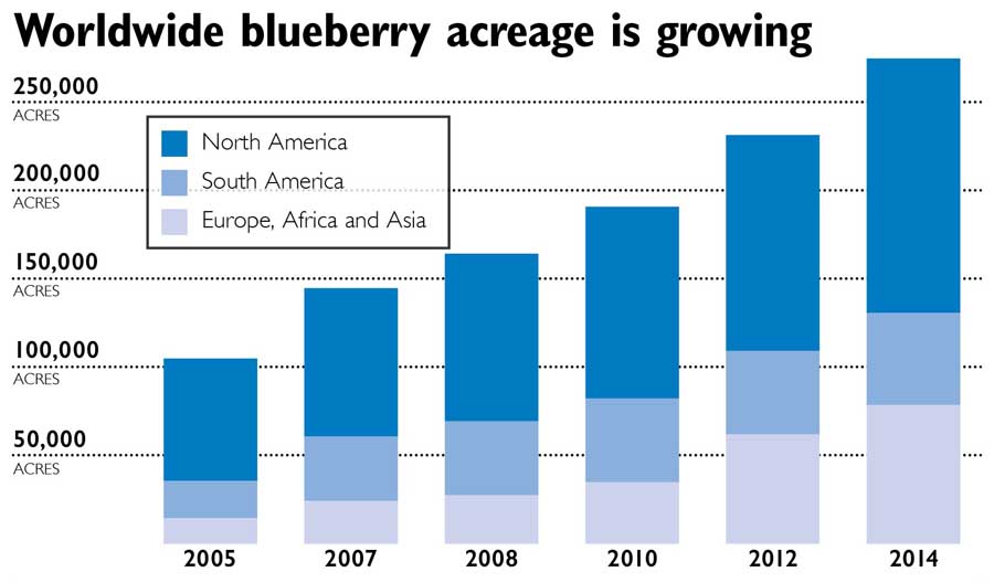 Source: U.S. Highbush Blueberry Council ( Jared Johnson/Good Fruit Grower illustration)