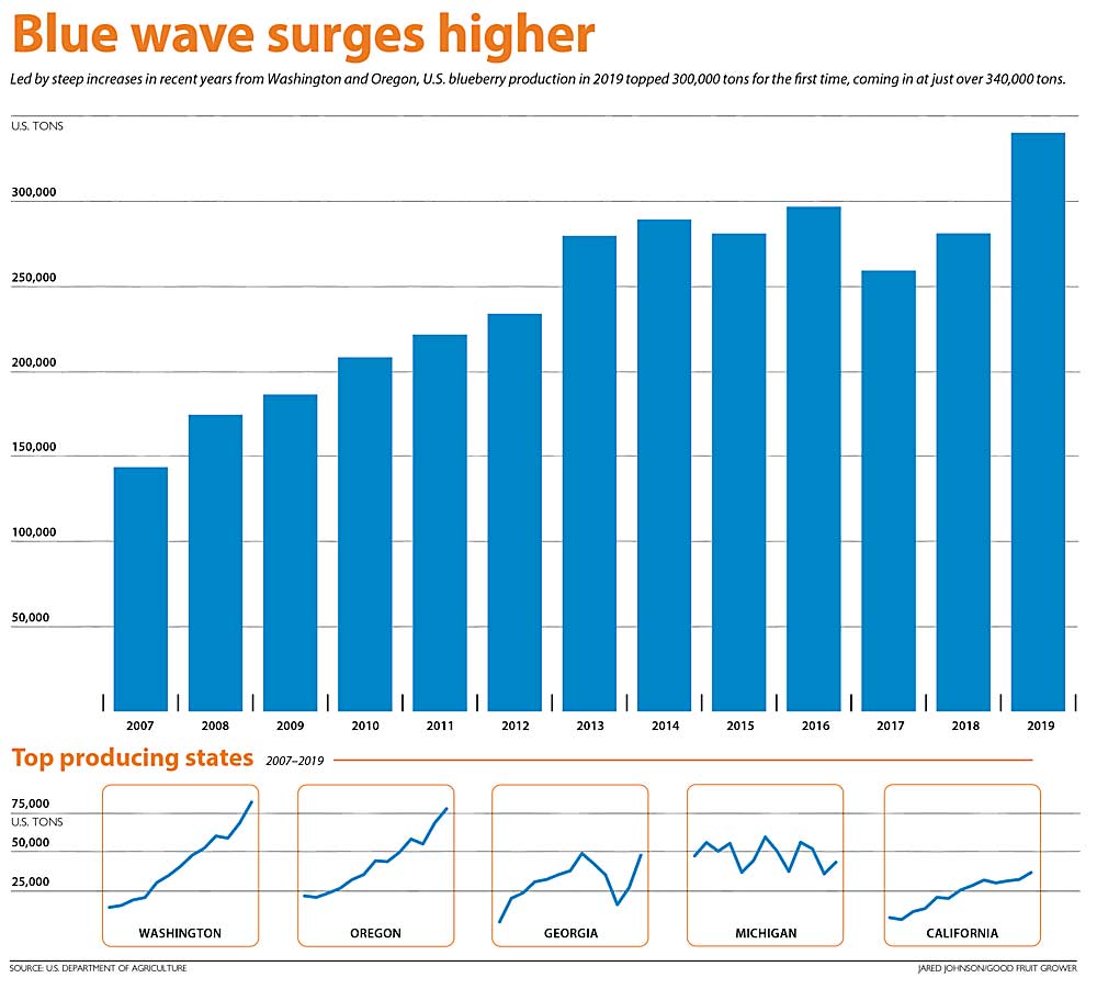Led by steep increases in recent years from Washington and Oregon, U.S. blueberry production in 2019 topped 300,000 tons for the first time, coming in at just over 340,000 tons. (Source: U.S. Department of Agriculture. Graphic: Jared Johnson/Good Fruit Grower)