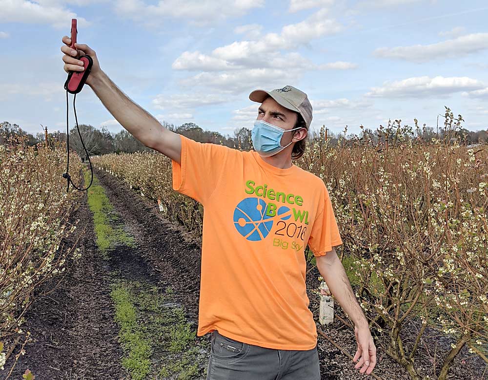 Joshua Botti-Anderson, who is pursuing a master’s degree at the University of Florida, records weather variables in a Florida blueberry field before Rachel Mallinger’s research team begins bee observations for a national project studying blueberry pollination practices.(Courtesy Rachel Mallinger/University of Florida)