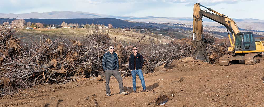 An emerging agricultural carbon market could generate profits from piles, according to Ben Bardsley, founder of BX, at right, standing with grower Byron Borton in front of a Red Delicious apple block Borton Fruit removed in March in Yakima, Washington. These piles will be burned, Borton said, but he’s hopeful that next year he’ll be able to convert similar stacks of old wood into biochar. (TJ Mullinax/Good Fruit Grower)