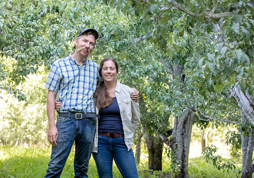 A decade after moving to Wenatchee, Washington, Glade Brosi, left, and Andrea Bixby-Brosi made their dream of becoming pear growers a reality after purchasing a small Leavenworth orchard earlier this year. (TJ Mullinax/Good Fruit Grower)