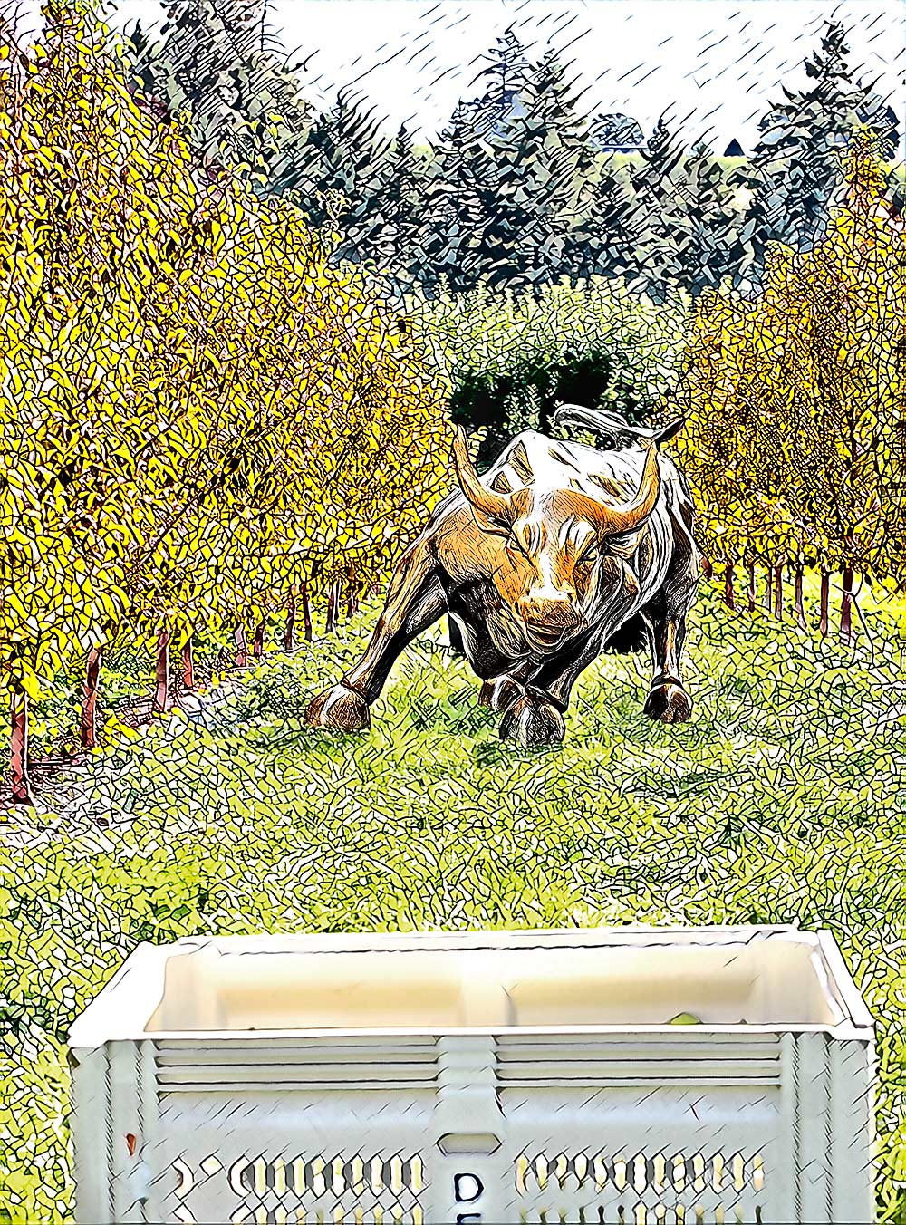 Investors looking for farmland can now find bullish opportunities in the orchard industry through online platforms that match investors with growers. (TJ Mullinax/Good Fruit Grower illustration)