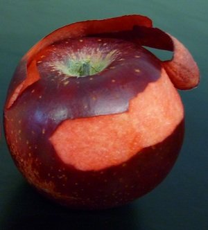 The red trait, which is common in crab apples and ornamentals, produces flesh colored anywhere from pink to deep red. 