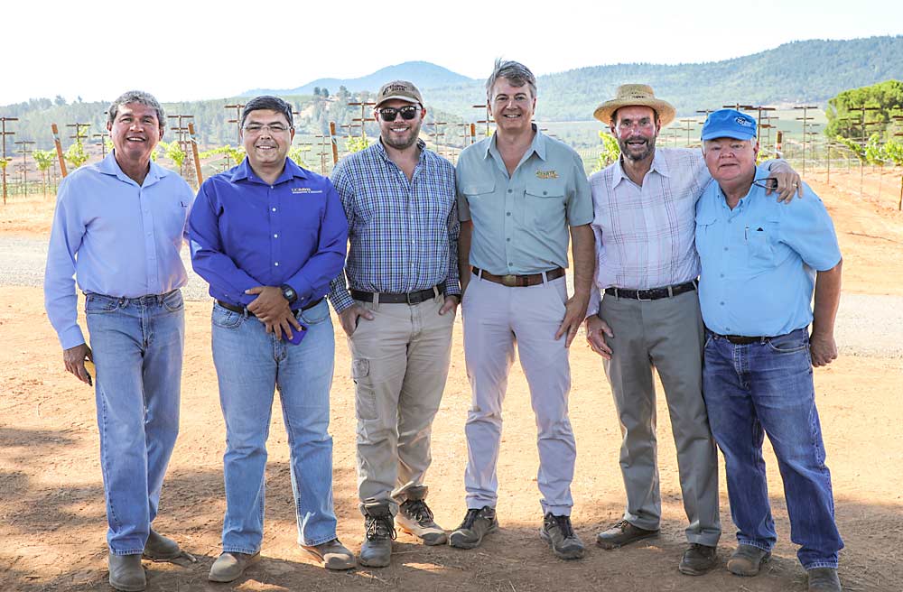 Collaborators took a moment to pose for a photo in August as they kicked off the trial. Pictured left to right are: Pedro Rubio, general manager at Beckstoffer Vineyards — Red Hills; S. Kaan Kurtural, cooperative extension specialist in viticulture at the University of California, Davis; Clint Nelson, director of vineyard operations at Beckstoffer; John Duarte, president of Duarte Nursery; Andy Beckstoffer, owner and CEO; and Glenn McGourty, UC Cooperative Extension viticulture advisor for Lake and Mendocino counties. (Courtesy of Lake County Winegrape Commission/ Karen Pavone Photography)