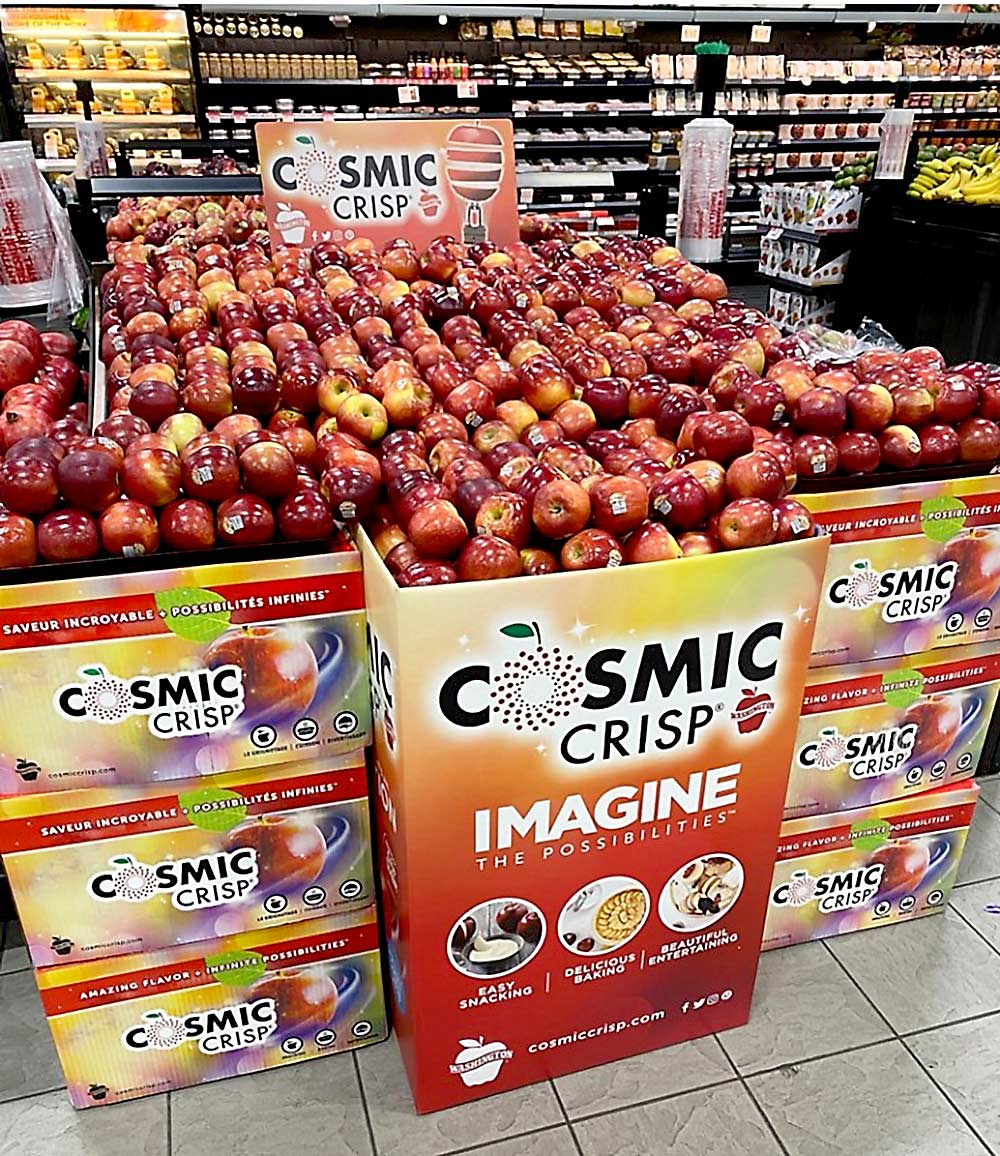 A Cosmic Crisp display in a Canadian grocery story earlier this year. Canada is the top export market for Cosmic Crisp and the focus of much of the Washington Apple Commission’s variety-specific marketing. (Courtesy Washington Apple Commission)