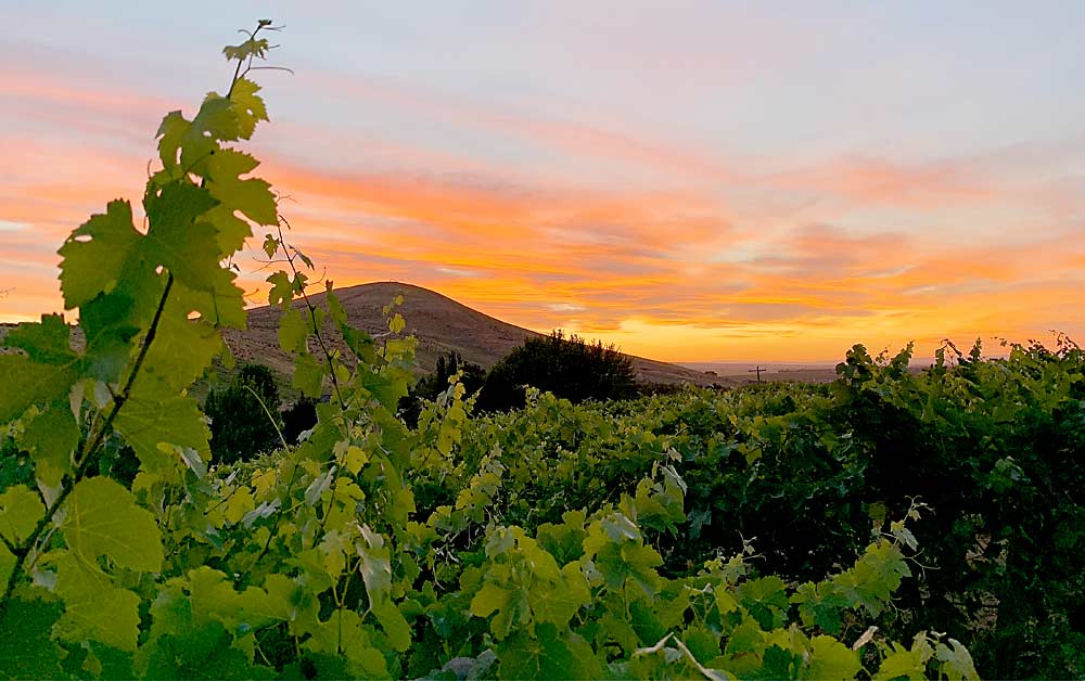 The sun sets behind Candy Mountain, Washington’s 16th AVA, near the Tri-Cities. (Courtesy Seth Kitzke)