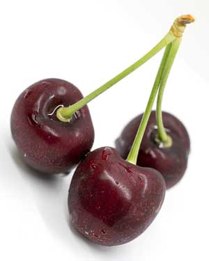 Promoters say the Carneval cherry, shown here after harvest, has good size, firmness and stem retention but ripens as early as, if not earlier than, Chelan. (TJ Mullinax/Good Fruit Grower)