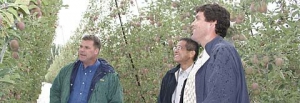 Tony Koselka (right) and Derek Morikawa (center) tell Del Feigal that the orchard Del manages for Auvil Fruit Company is ideal for robotic harvesting. 