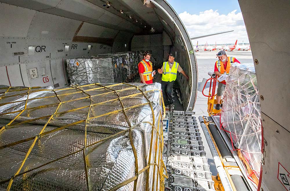 Jeff Akridge, right, president of Columbia Pacific Aviation, manages the onloading of cherry pallets into a Boeing 747 cargo plane with employee Kroft Sunderland, left, and Kalitta Air load master Gary Ogden. The planes hold about 114 metric tons of cherries, which must be distributed correctly within the plane’s fuselage. (TJ Mullinax/Good Fruit Grower)