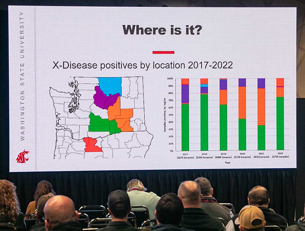 워싱턴 주립 대학의 병리학자인 Scott Harper는 Cherry Institute 참석자들에게 X 질병에 대한 최신 연구에 대해 말했습니다.  (TJ Mullinax/좋은 과일 재배자)