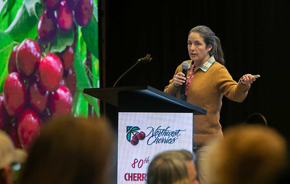 Bernardita Sallato of Washington State University talks about nutrient management at the 2023 Cherry Institute in Yakima, Washington. (TJ Mullinax/Good Fruit Grower)