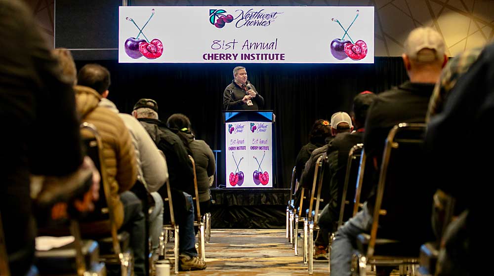 B.J. Thurlby of Northwest Cherries recaps a frustrating 2023 cherry season characterized by high-quality fruit selling for low prices due to a compressed harvest. (TJ Mullinax/Good Fruit Grower)