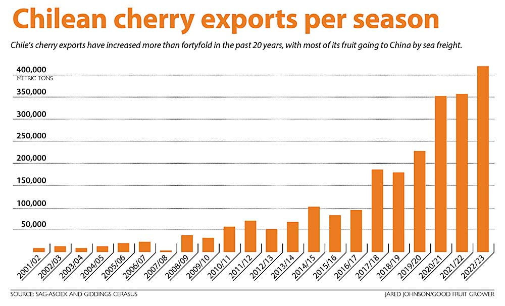 This chart shows the growth in Chilean cherry exports since 2001, from fewer than 50,000 metric tons to more than 400,000. (Source: SAG-ASOEX and Giddings Cerasus; Graphic: Jared Johnson/Good Fruit Grower)