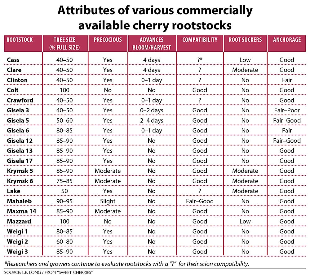 Attributes of various commercially available cherry rootstocks. (Source: L.E. Long/from “Sweet Cherries”)