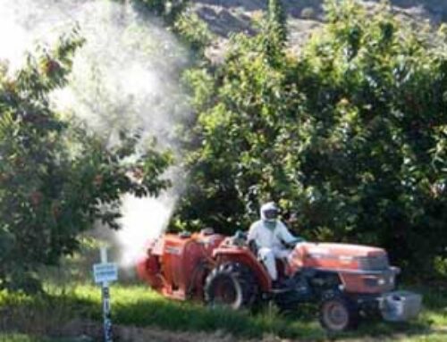 2023 pesticide residue reports available for apple and cherry