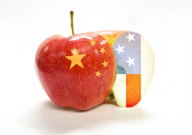 China U.S. apple trade (TJ Mullinax/Good Fruit Grower photo illustration)