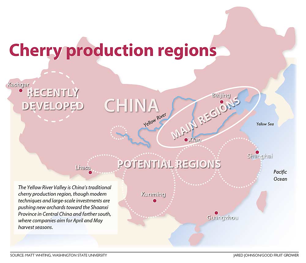 Cherry production regions: The Yellow River Valley is China’s traditional cherry production region, though modern techniques and large-scale investments are pushing new orchards toward the Shaanxi Province in Central China and farther south, where companies aim for April and May harvest seasons. (Source: Matt Whiting, Washington State University. Graphic: Jared Johnson/Good Fruit Grower.)