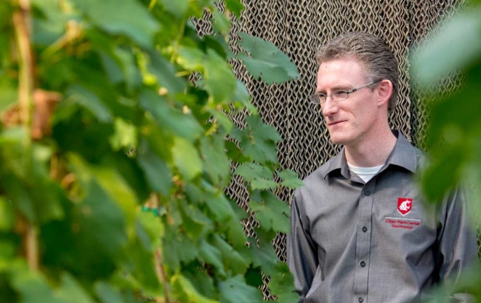 Clean Plant Center Northwest director Scott Harper is surrounded by fruit trees at the Prosser, Washington, center in August 2017. (TJ Mullinax/Good Fruit Grower)
