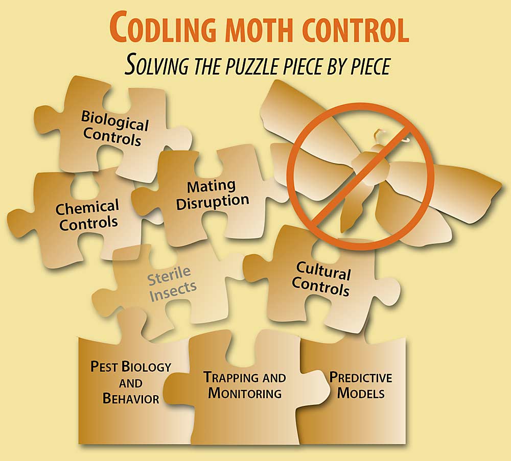 Codling moth control puzzle graphic. (Jared Johnson and Kate Prengaman/Good Fruit Grower)