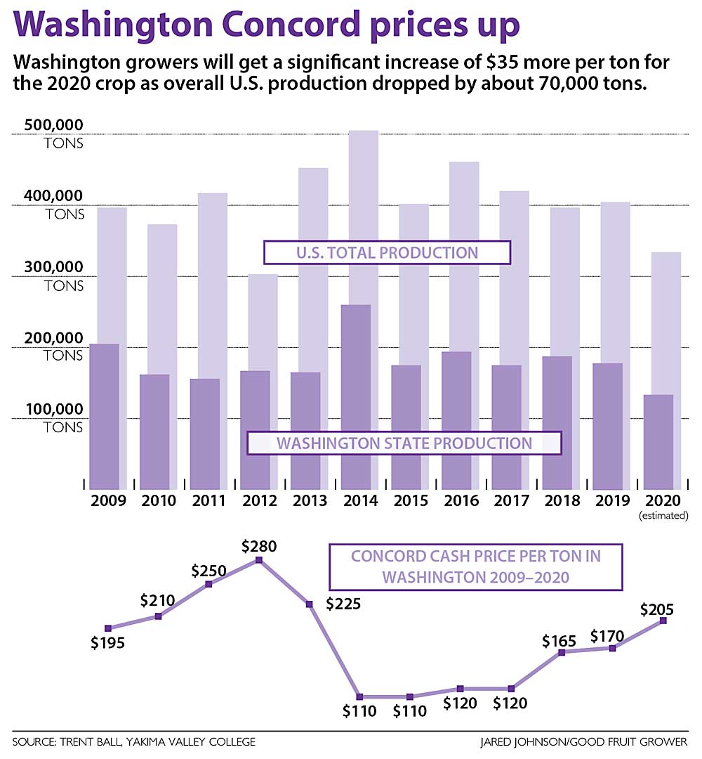 This chart shows Washington growers will get a significant increase of $35 more per ton for the 2020 crop as overall U.S. production dropped by about 70,000 tons. (Source: Trent Ball, Yakima Valley College; 	Graphic: Jared Johnson/Good Fruit Grower)