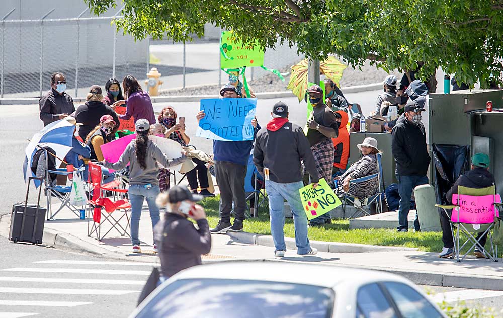 Striking workers and their supporters lobby their employer for additional safeguards and hazard pay due to the coronavirus in May near Yakima, Washington, where seven Yakima-area packing facilities experienced labor walkouts. (TJ Mullinax/Good Fruit Grower)