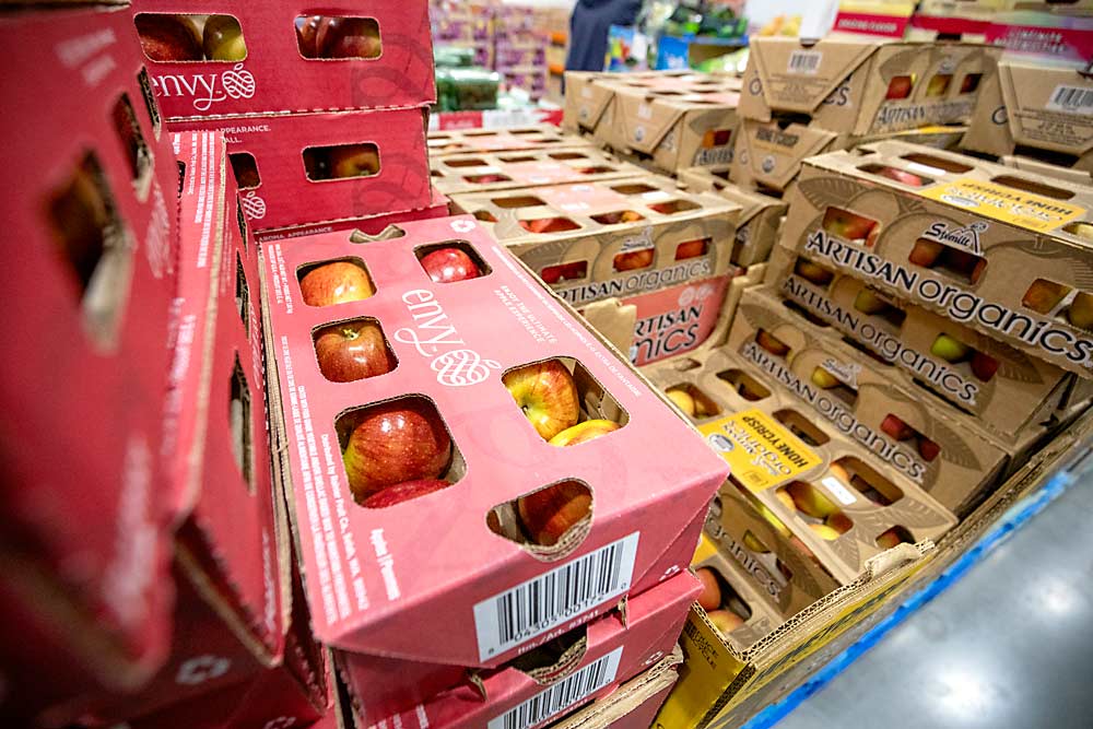New 4-pound cardboard apple packs await shoppers in December at Costco in Washington. The boxes replace plastic clamshells as an answer to consumers’ requests for sustainable packaging. They allow more space for colorful branding and reduce the need for stickers. (TJ Mullinax/Good Fruit Grower)