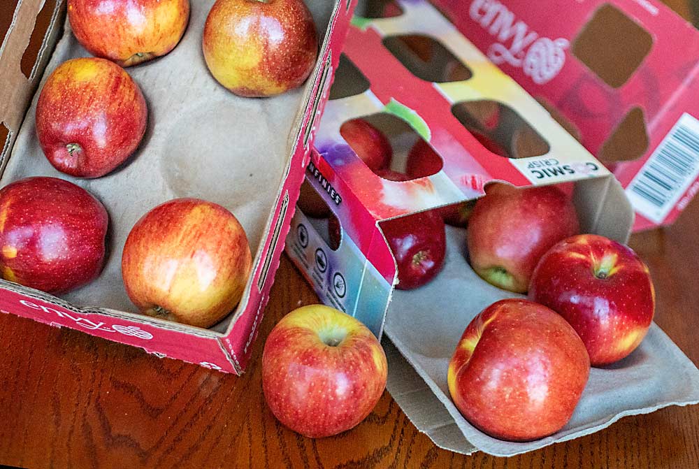 The new boxes contain cardboard apple trays and “frustration-free” flaps. (TJ Mullinax/Good Fruit Grower)