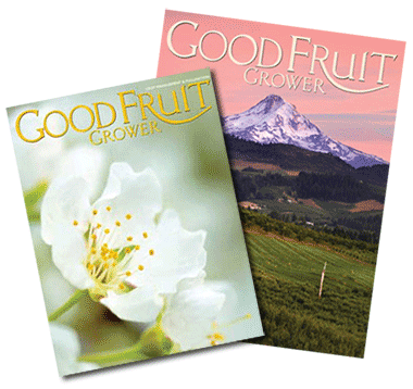 Good Fruit Covers