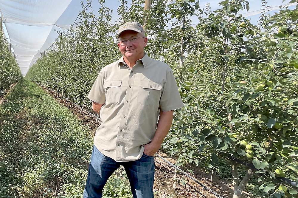 Horticulturist Dave Gleason, seen here in a young apple orchard in Washington’s Yakima Valley, said it’s important to look at each block’s individual profitability as costs of production rise. (TJ Mullinax/Good Fruit Grower)