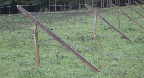 This inexpensive but effective deer fence was built for about 40 cents per foot and can be lifted up at the bottom for mowing.