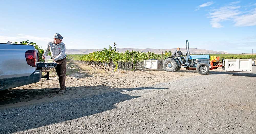 During harvest, Boushey’s truck serves as his office. (TJ Mullinax/Good Fruit Grower)