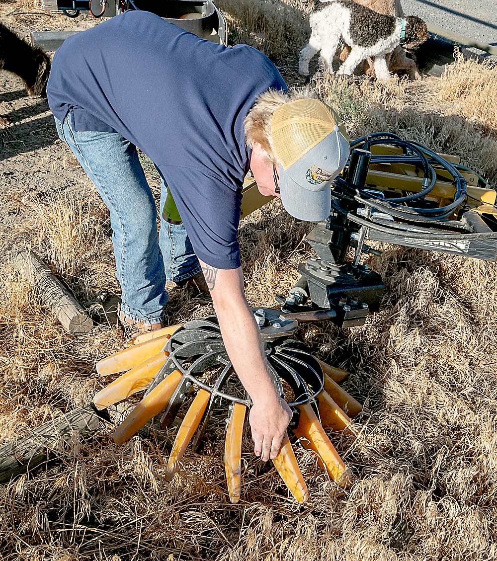 To save money on herbicides, May uses a combination of tractor-mounted tools. First pass is a hiller that kills weeds by burying them, followed by a weeder, shown here, to break down the hill and the weed roots within it. (TJ Mullinax/Good Fruit Grower)