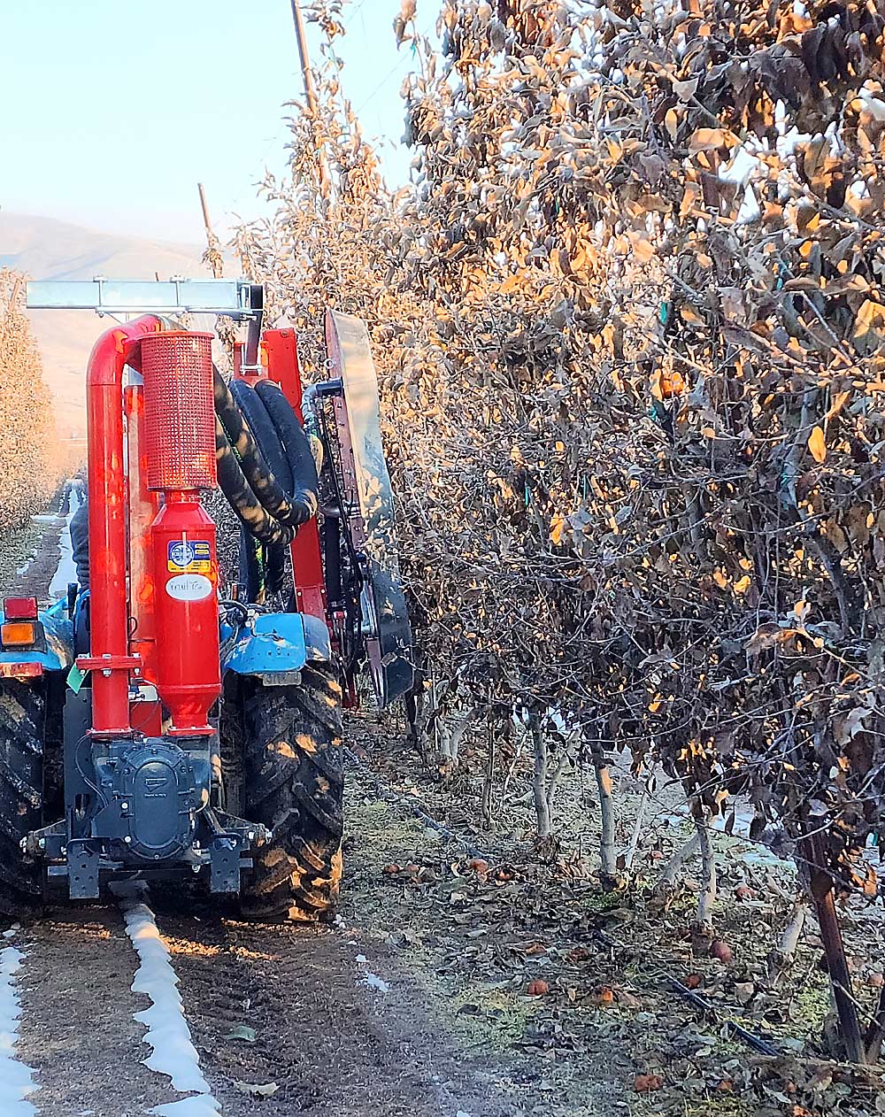 A pneumatic leaf blower proves the most effective at removing leaves during the trial but required multiple passes on each row. (Courtesy Keith Veselka/NWFM)