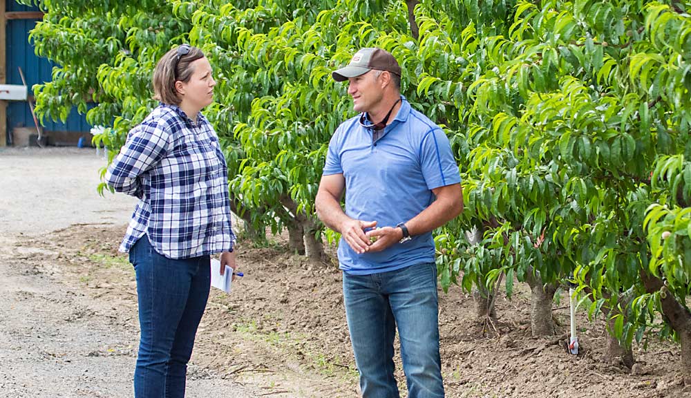 Good Fruit Grower's Kate Prengaman speaks with John Douglas at Douglas Fruit Co.'s Mesa, Washington, orchards on May 24, 2019. (TJ Mullinax/Good Fruit Grower)