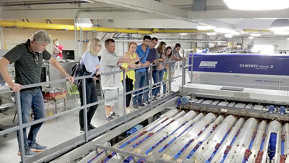John Harris, pointing, talks about cherry optical sorting technology at the Western Sweet Cherry Group packing facility in Yakima, Washington, with representatives of the Dutch Embassy and the Washington Tree Fruit Research Commission. The latter group hosted the visitors in July 2019 to discuss the potential for collaboration on orchard technology development. (Courtesy Ines Hanrahan)